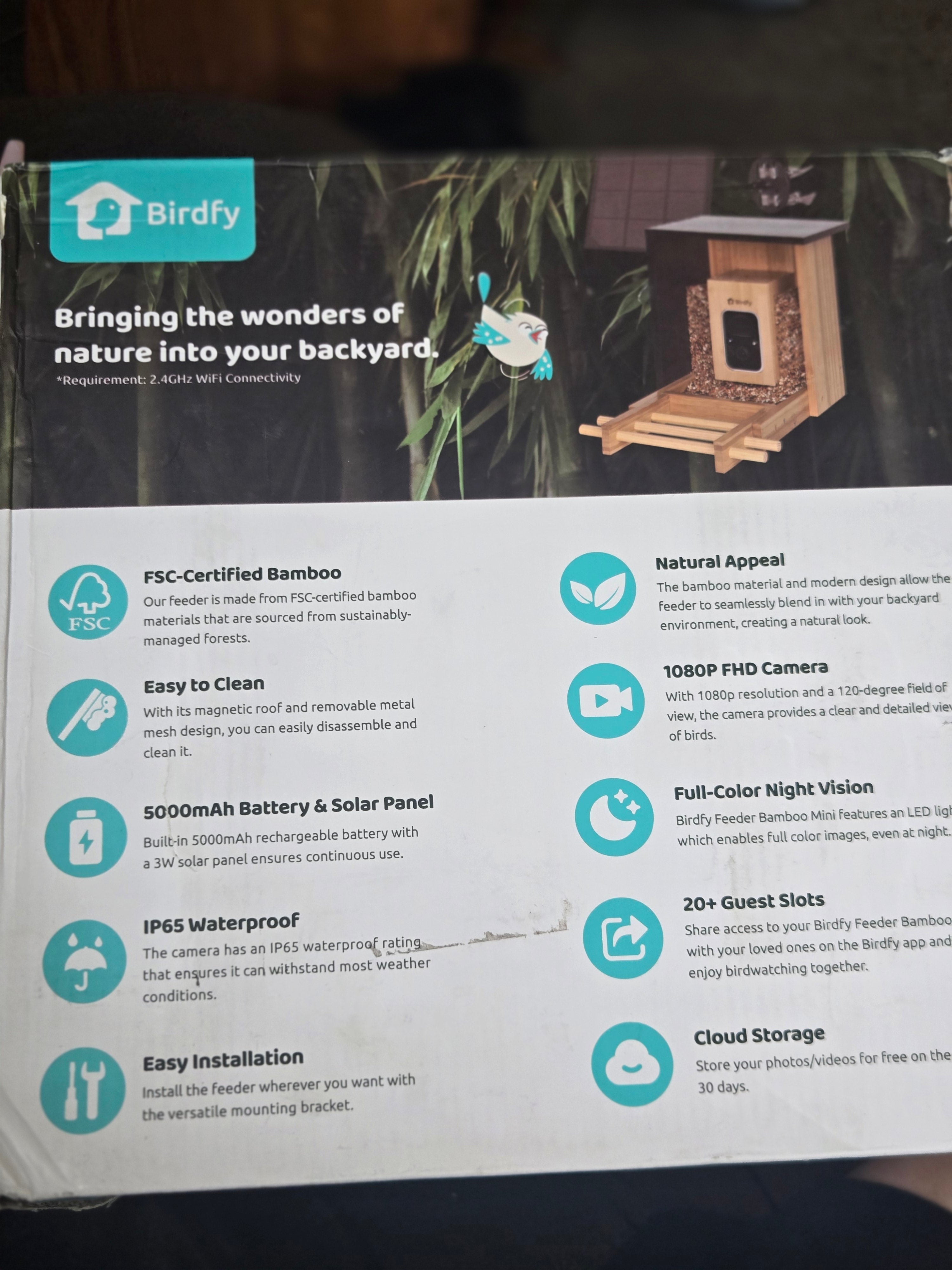 Birdfy bird feeder