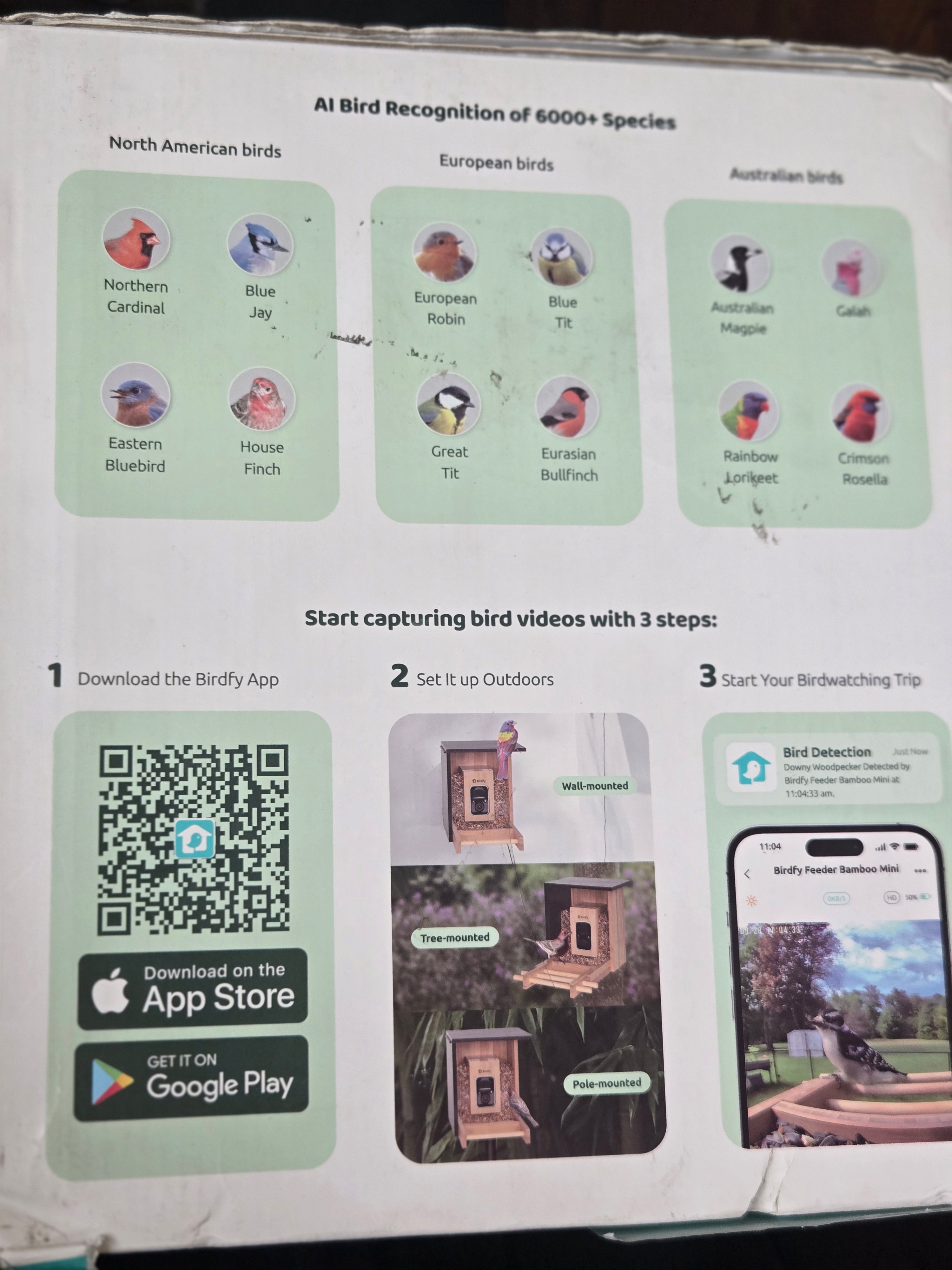 Birdfy bird feeder